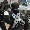 1989 Snake Eyes