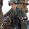 Vietnam Scout War Dog