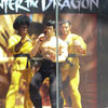 Enter the Dragon