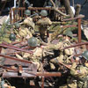 Airborne diorama