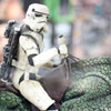 Dewback Matt