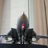 Jolly Rogers Tomcat