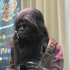 planet of the apes