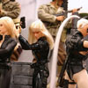 Triad Ladies