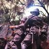 Diorama Contest