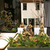 the alamo