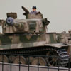 Tiger on the bridge