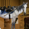 Ben's Custom Tack