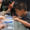 2011 One Sixth Expo